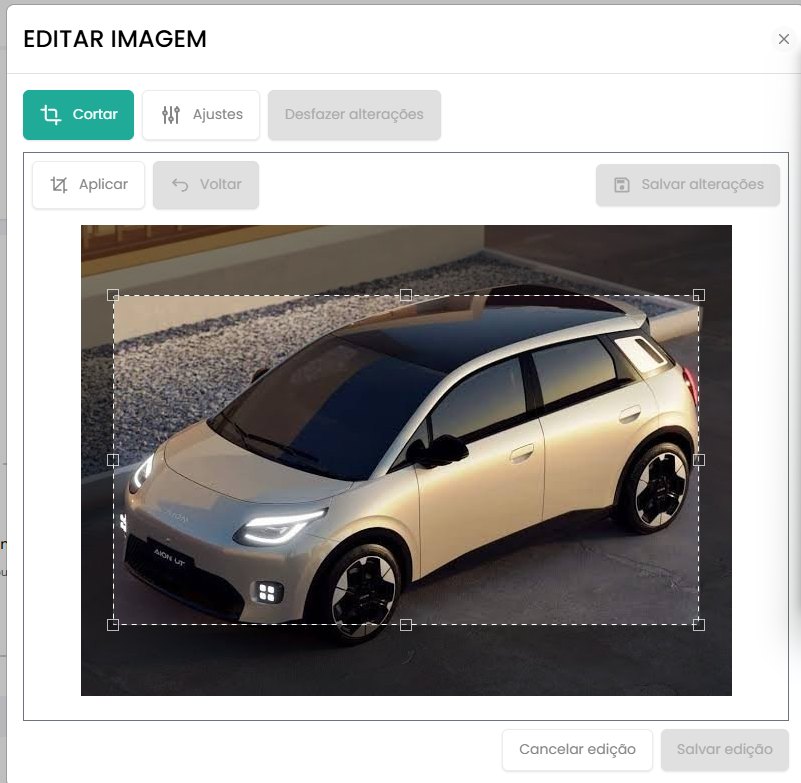 Editor de imagem com a ferramenta de corte sobre a foto de um veículo